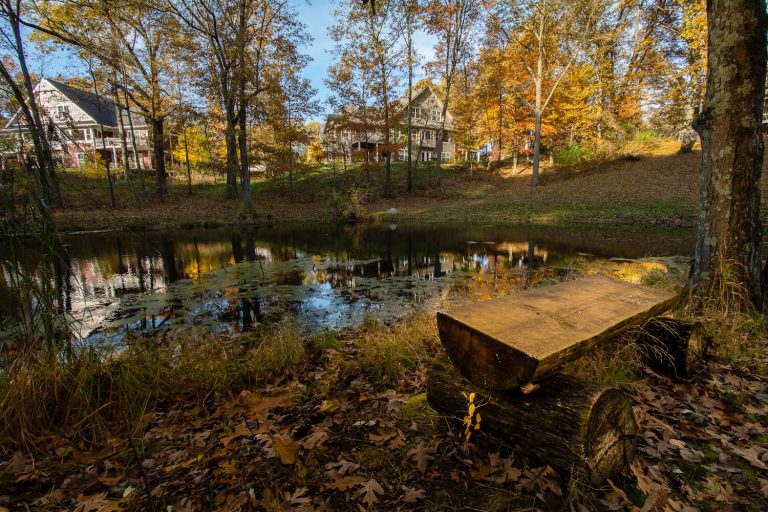 log bench in woods