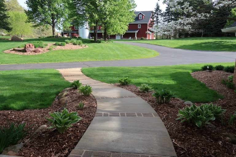 campus grounds and sidewalk