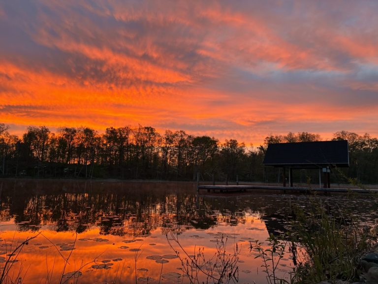 Vivid orange sunset sky reflected on a calm pond, with trees and a small dockside shelter in silhouette.